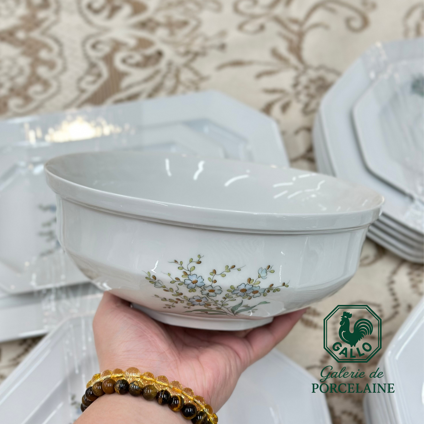 Rare Gallo Galerie de Porcelaine “Leonardo” Complete Tableware Set – Made in Germany