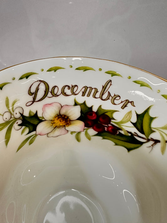 Royal Albert Flower of the Month | December Christmas Rose Cup & Saucer Set | Mint Condition