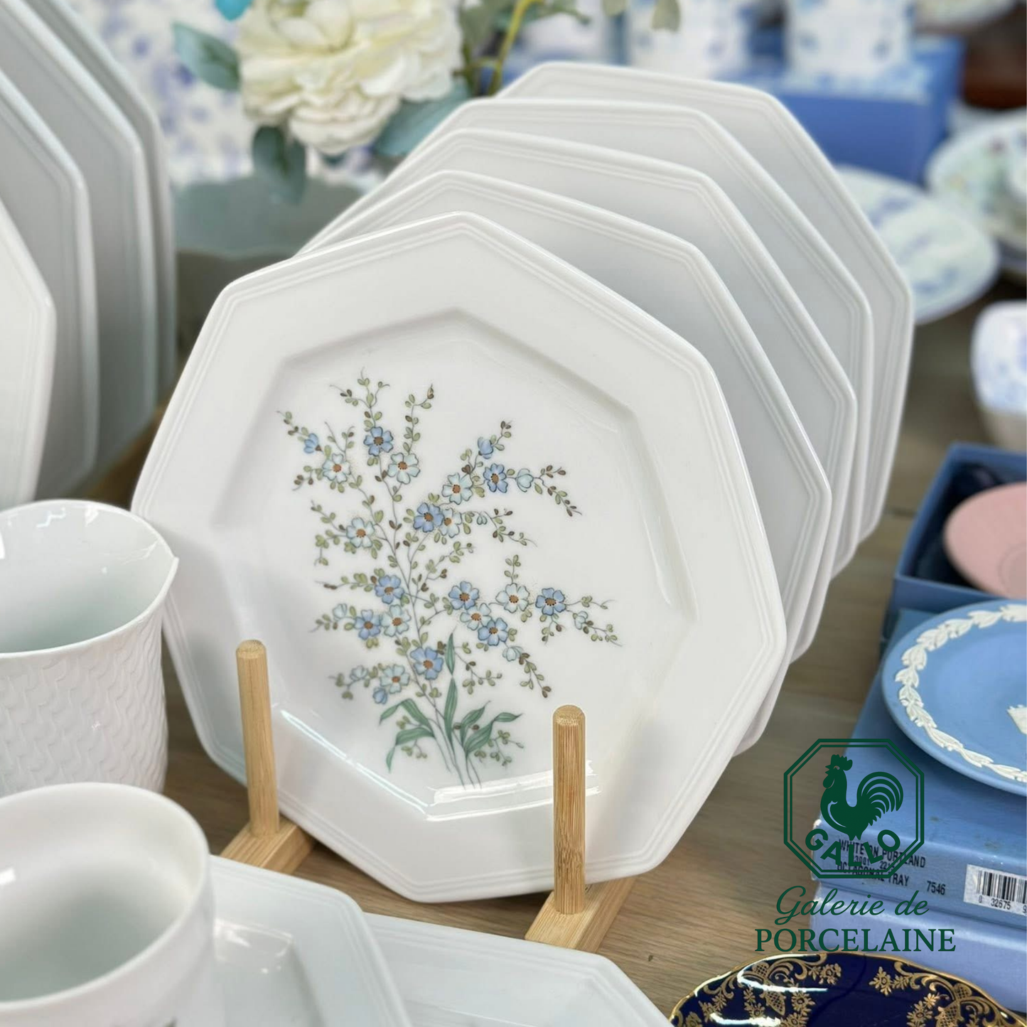 Rare Gallo Galerie de Porcelaine “Leonardo” Complete Tableware Set – Made in Germany