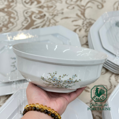 Rare Gallo Galerie de Porcelaine “Leonardo” Complete Tableware Set – Made in Germany