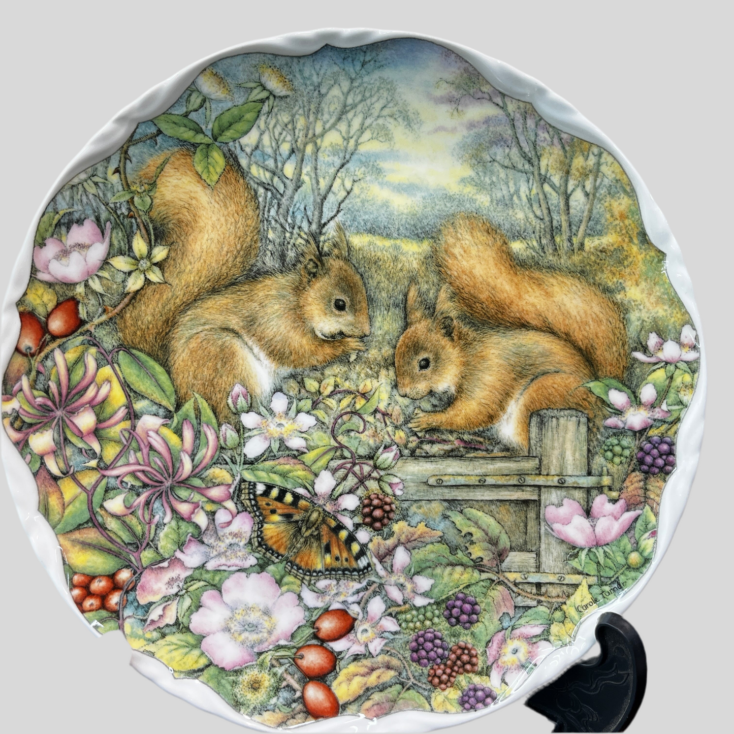 Royal Albert Countryside Friends Collectors Plate - Squirrels Enjoying Autumn Fruits, Collectible Plates, English Bone China