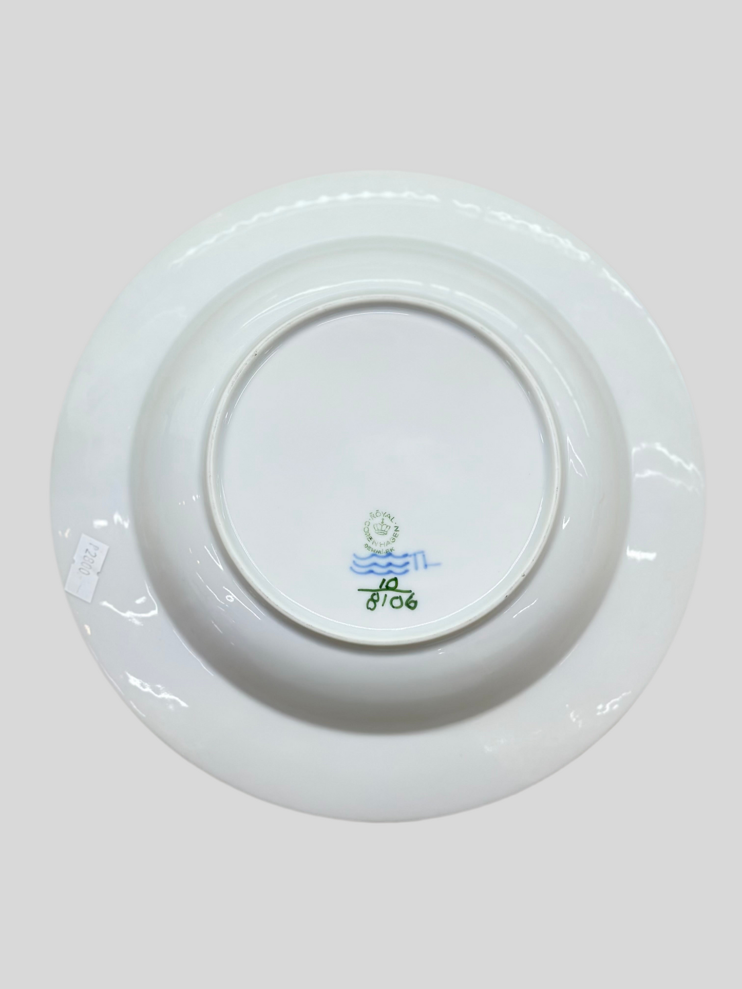 Royal Copenhagen Hand-Painted Pasta Bowl | No.10/8016 | 9inches