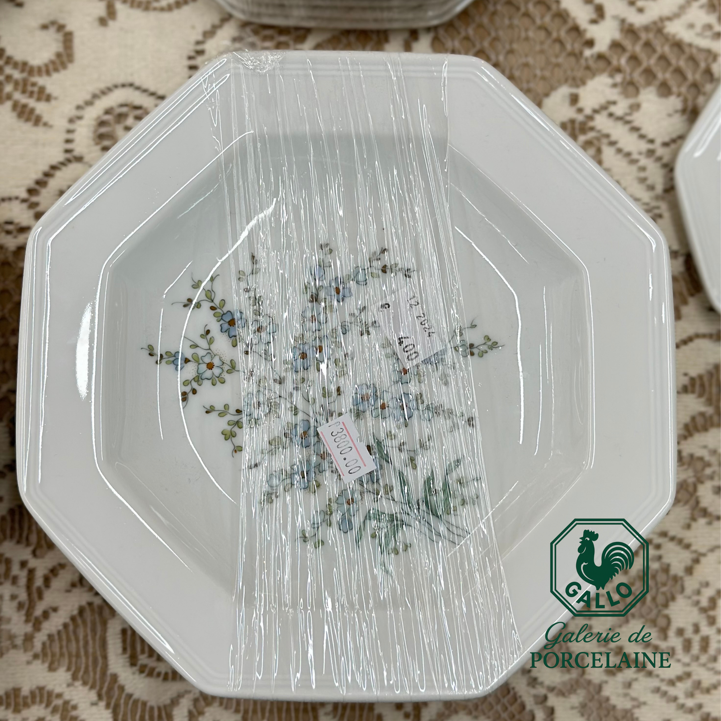 Rare Gallo Galerie de Porcelaine “Leonardo” Complete Tableware Set – Made in Germany