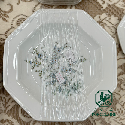 Rare Gallo Galerie de Porcelaine “Leonardo” Complete Tableware Set – Made in Germany