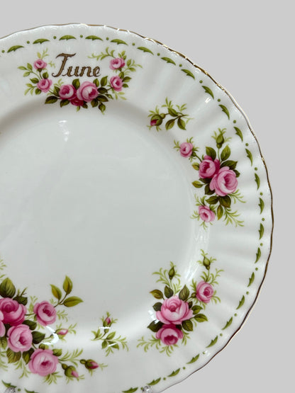 Royal Albert Flower of the Month | June Roses Luncheon Plate | Mint Condition