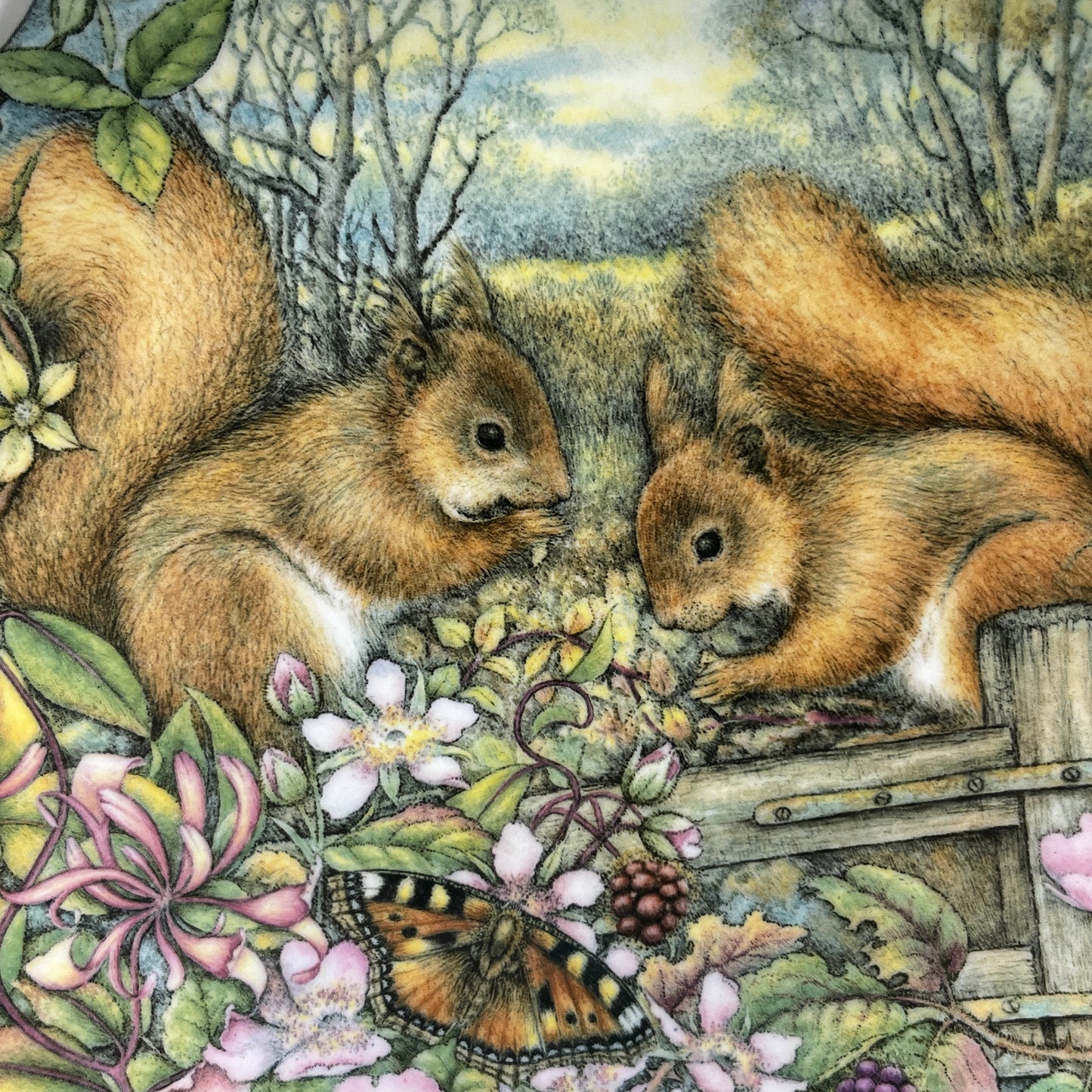 Royal Albert Countryside Friends Collectors Plate - Squirrels Enjoying Autumn Fruits, Collectible Plates, English Bone China